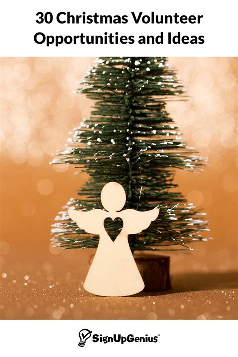30 Christmas Volunteer Opportunities and Ideas .